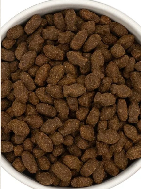 Fish TrainingTreats - Image 2