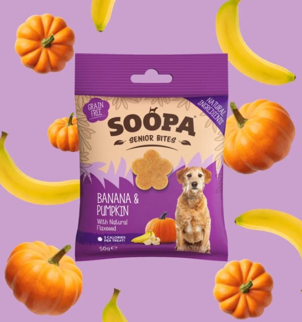 Banana, Pumpkin & Flaxseed Healthy Bites for Senior Dogs