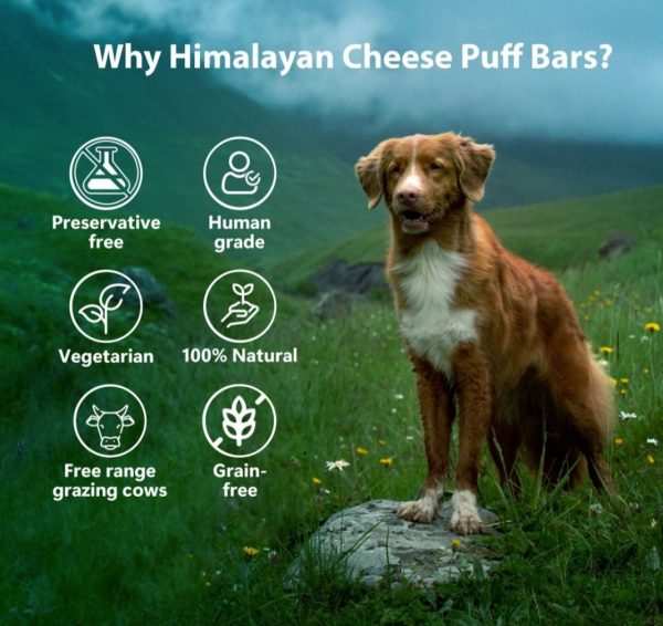 Himalayan Cheese Puff Bars - Image 2