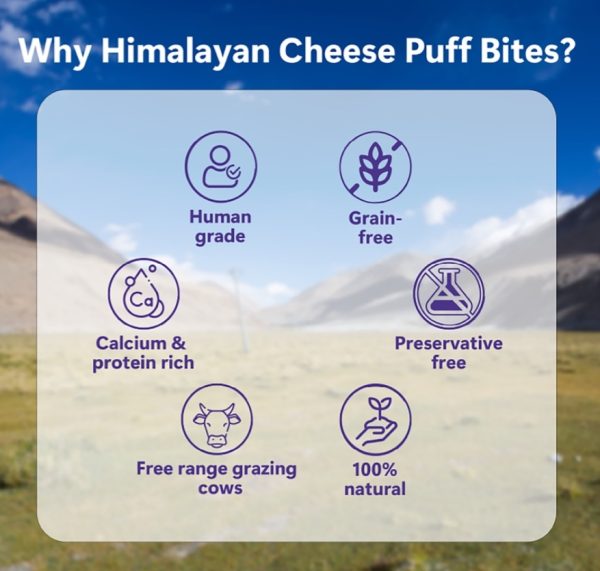  Himalayan Cheese Puff Bites - Image 3