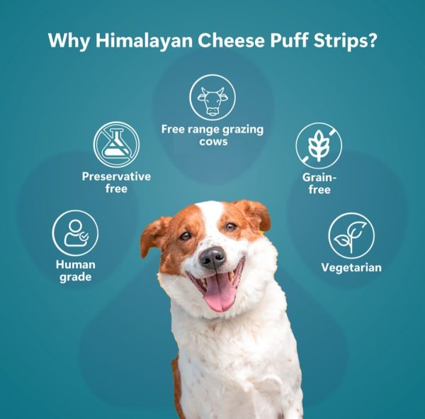 Himalayan Cheese Puff Strips - Image 2