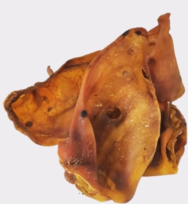 Medium Pig Ear