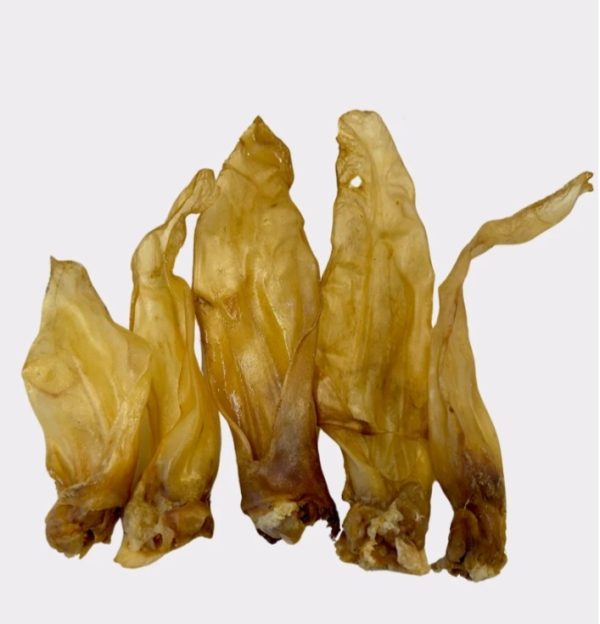 Plain Lamb Ear