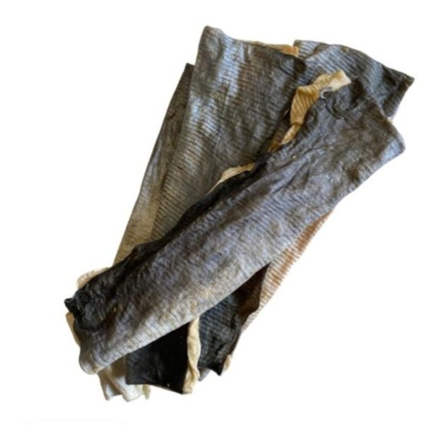Fish Flatties