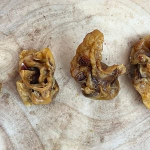 Porky Bites