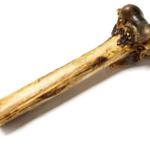 Medium Ostrich Bones