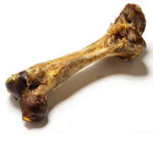 Jumbo Ostrich Bones
