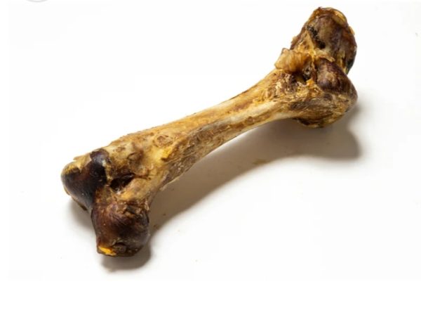 Jumbo Ostrich Bones