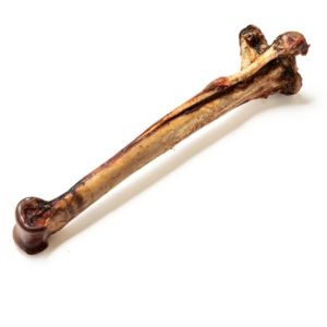 Long Ostrich Bones