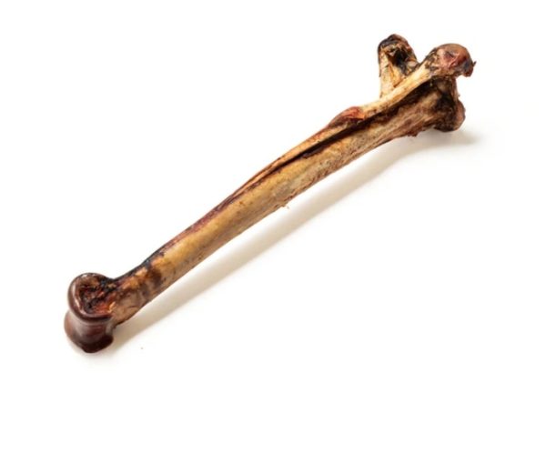 Long Ostrich Bones