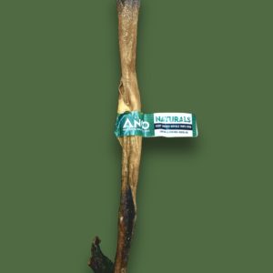 Anco Naturals Giant Smoked Buffalo Tripe Stick