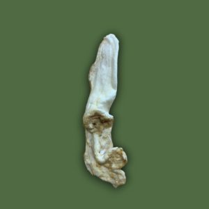Naturals Puffed Rabbit Ears