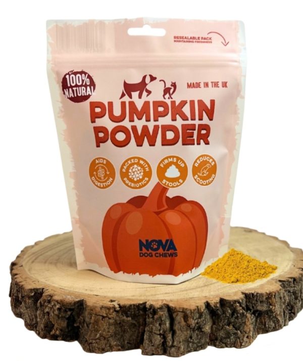 Pumpkin Powder 200g