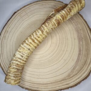 Large Beef Trachea