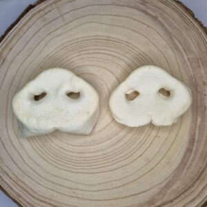 Puffed Pig Snout