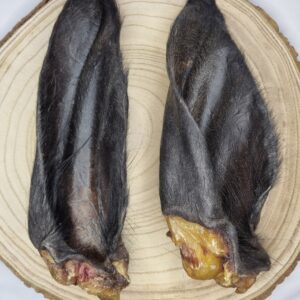 Hairy Buffalo Ear