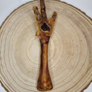 Turkey Foot