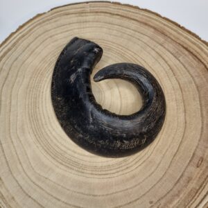Medium Buffalo Horn