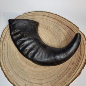 Large Buffalo Horn