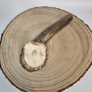 Jumbo Antler