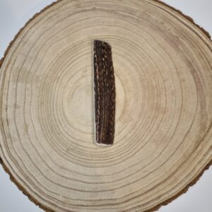 Small Split Antler