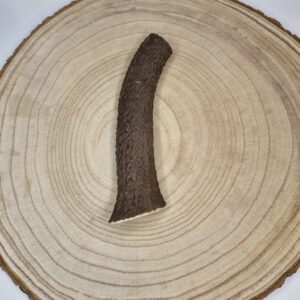 Medium Antler