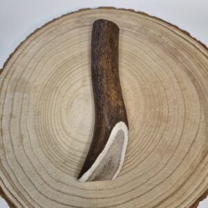Large Antler